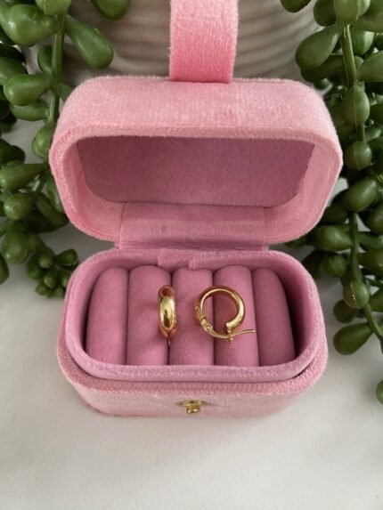 Huggie Earrings